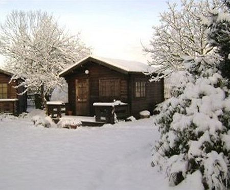 Robeanne House Holiday Accommodation Shiptonthorpe المظهر الخارجي الصورة