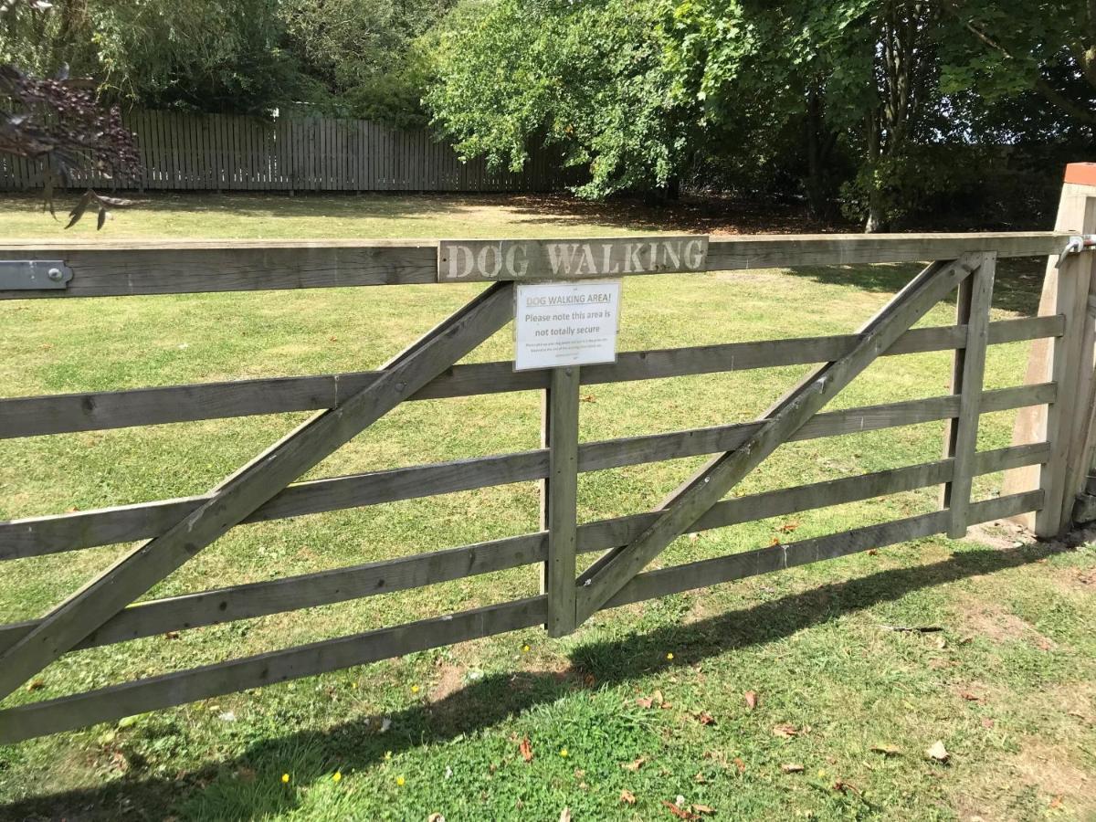 Robeanne House Holiday Accommodation Shiptonthorpe الغرفة الصورة